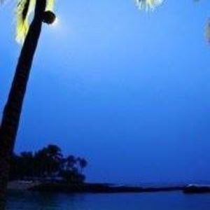 Meet your Posher, Bridgett